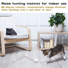 Load image into Gallery viewer, Cat Rollie - SUELEAN