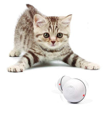 Load image into Gallery viewer, Cat Rollie - SUELEAN