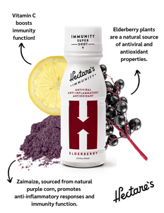 Elderberry Immunity Super Shot - SUELEAN